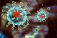 Увага!!! У Печерському районному суді м. Києва  виявлено новий випадок коронавірусу COVID-19